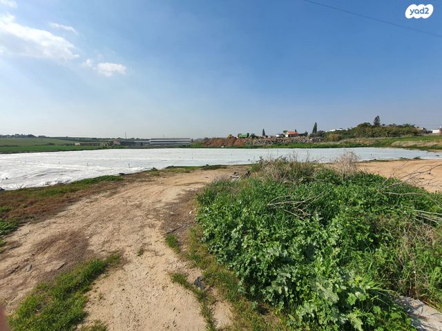 משק חקלאי/ נחלה, שדה דוד