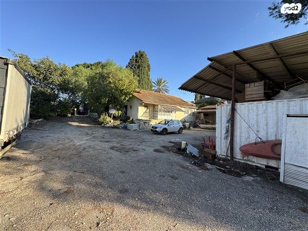 משק חקלאי/ נחלה, בת שלמה