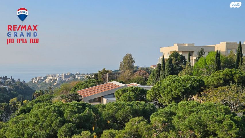 דירה, שדרות הנשיא, מרכז הכרמל, חיפה