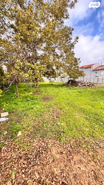 מגרשים, גיל עמל, הוד השרון