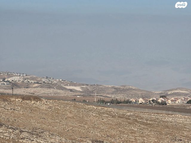 ויקטור ויוליוס 