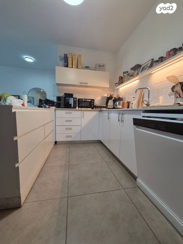 דירה, האנפה, החותרים, טירת כרמל