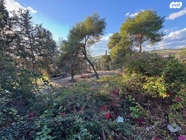 משק חקלאי/ נחלה, בת שלמה