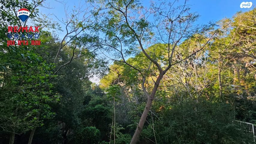 דירה, שדרות הנשיא, מרכז הכרמל, חיפה