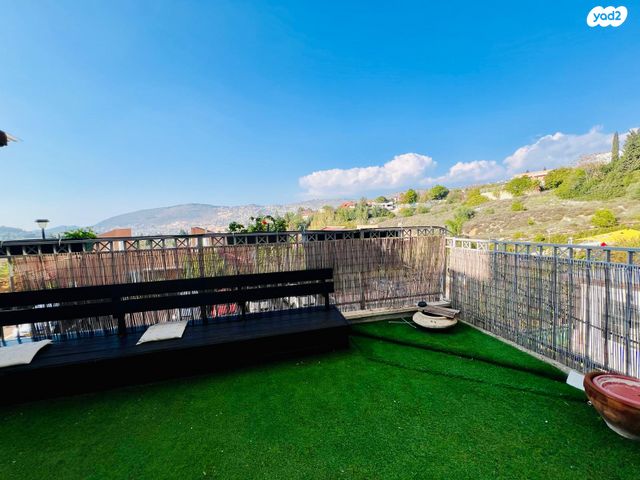 דירת גן, הדס, כרמיאל