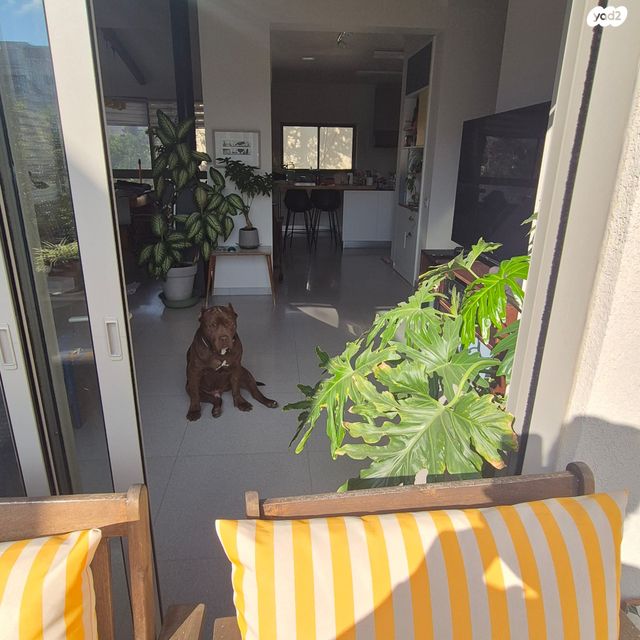 דירה, צפרירים, כרמליה, חיפה