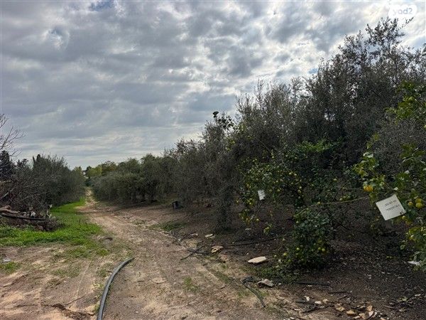 משק חקלאי/ נחלה