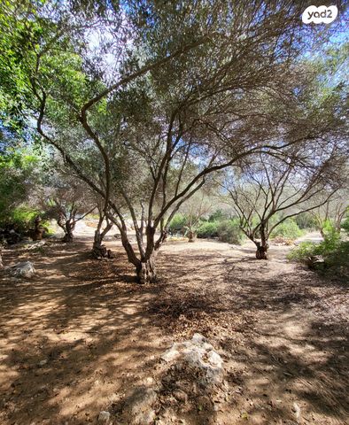 בית פרטי/ קוטג', נווה הברון, זכרון יעקב