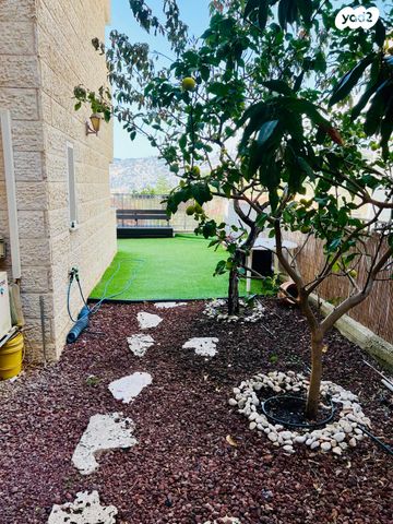 דירת גן, הדס, כרמיאל