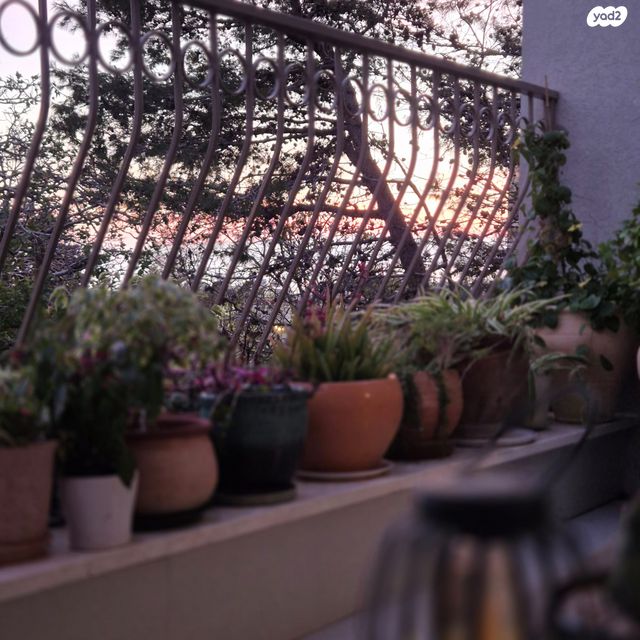 דירה, צפרירים, כרמליה, חיפה