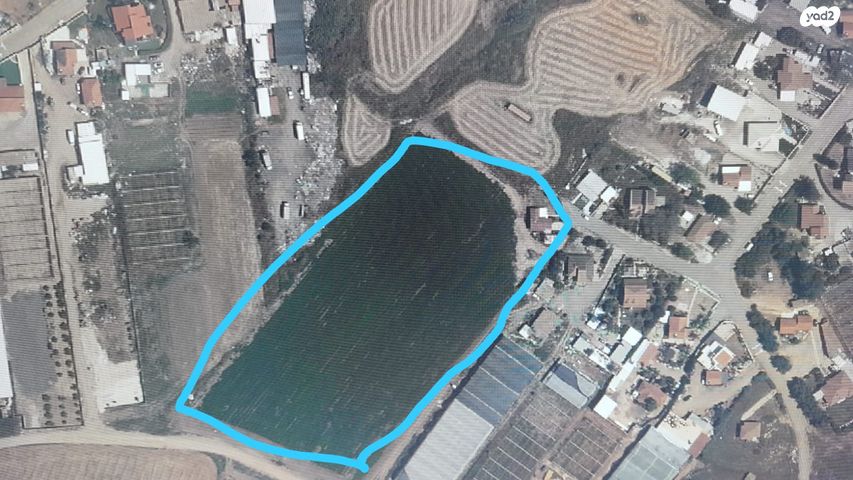 משק חקלאי/ נחלה, שדה דוד