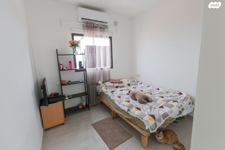 דירה, דרך הציונות, רובע ג', אריאל