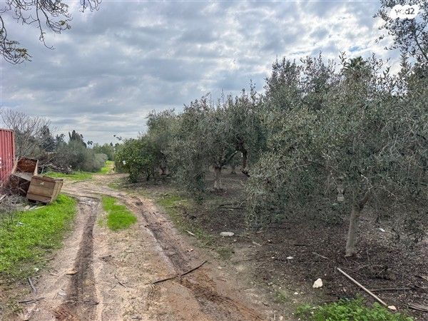 משק חקלאי/ נחלה