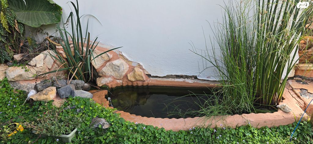 בית פרטי/ קוטג', שרונה