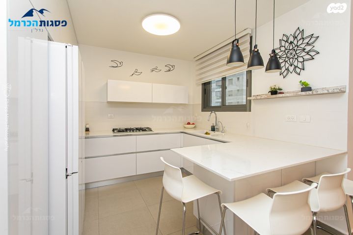 דירה, לח"י 11, שז"ר / דקר, טירת כרמל