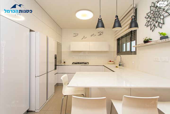 דירה, לח"י 11, שז"ר / דקר, טירת כרמל