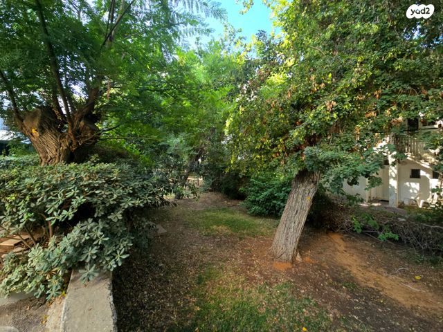 דירה, כפר סבא