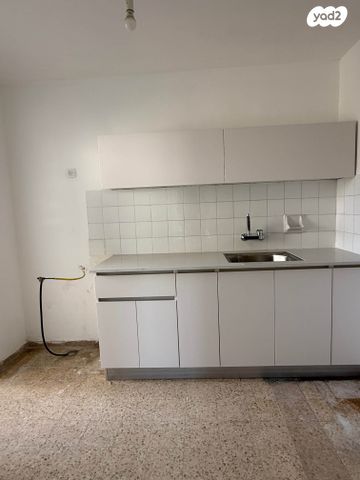 זלמן שניאור 