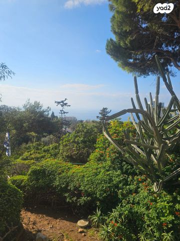 דירה, אדמונד פלג, רמת שאול, חיפה