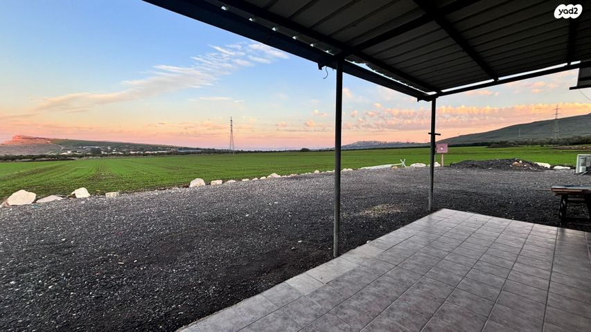 דירת גן, כפר זיתים