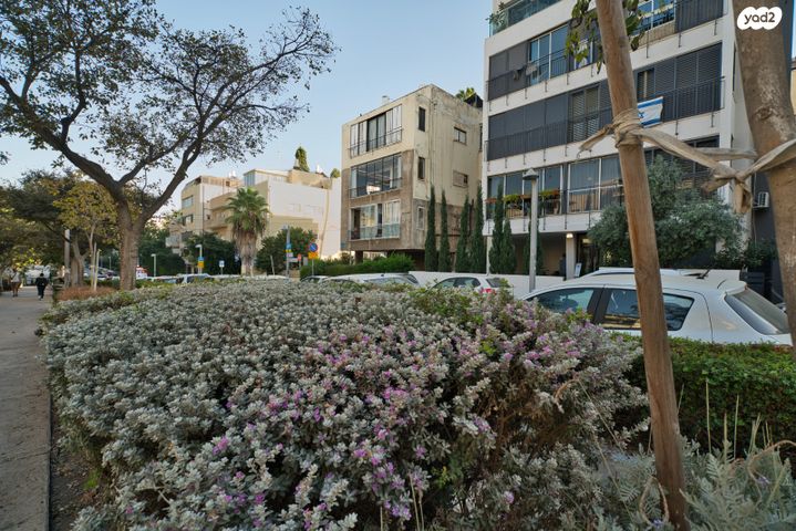 דירה, הצפון הישן - צפון, תל אביב יפו