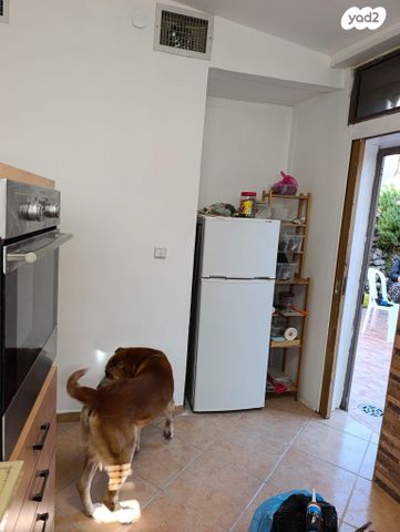 דירת גן, אבן סינא, עג'מי, גבעת העליה, תל אביב יפו