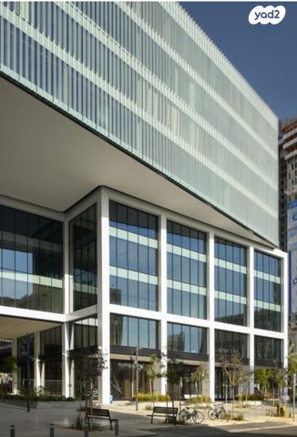 ליאונרדו דה וינצ'י 