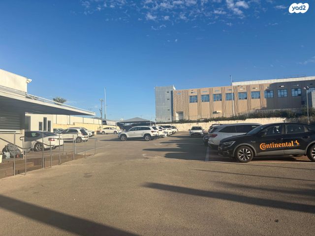 חניון, פלוטיצקי, ראשון לציון