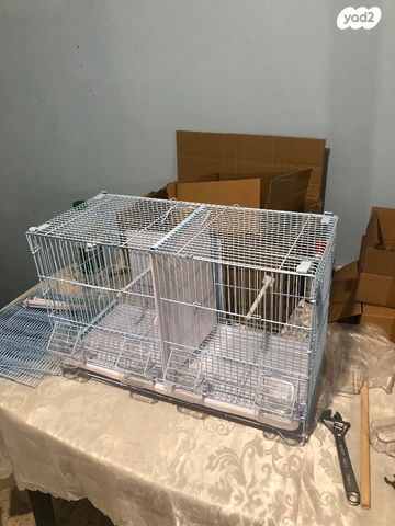 תמונת מודעה - חיות מחמד