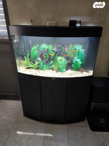 תמונת מודעה - חיות מחמד