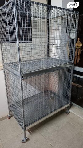 תמונת מודעה - חיות מחמד