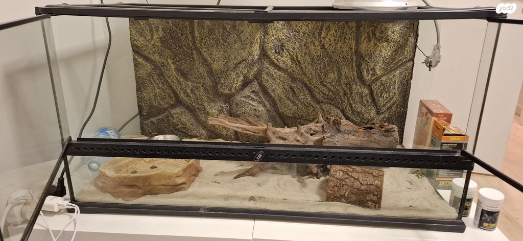 תמונת מודעה - חיות מחמד