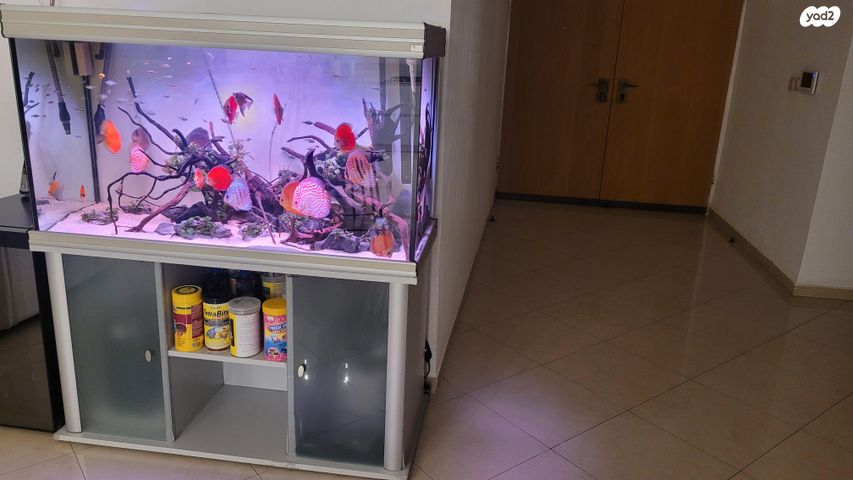 תמונת מודעה - חיות מחמד