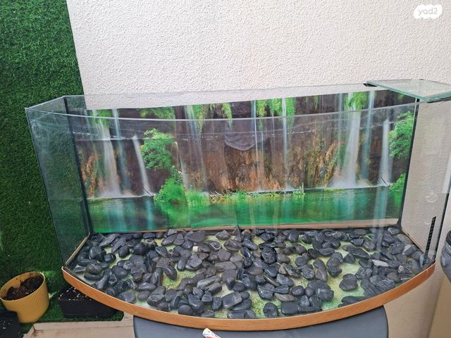 תמונת מודעה - חיות מחמד