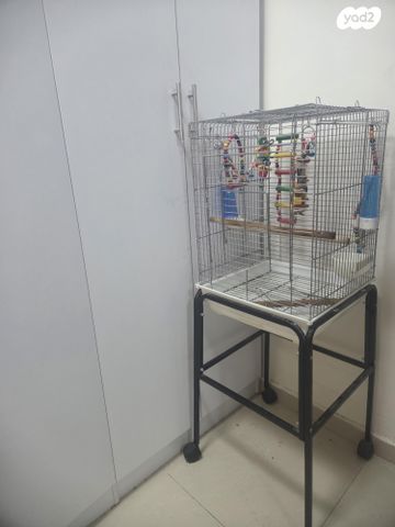 תמונת מודעה - חיות מחמד