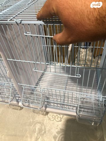 אביזרים | כלוב האכלת יד