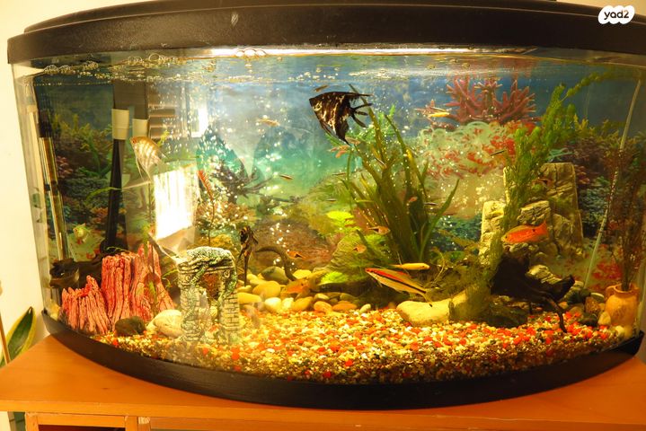 אביזרים | אקווריום