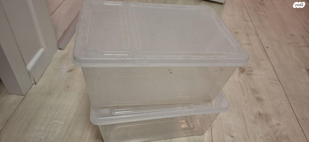 אביזרים | טרריום