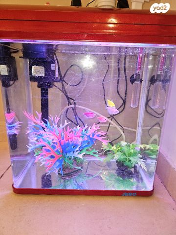 תמונת מודעה - חיות מחמד