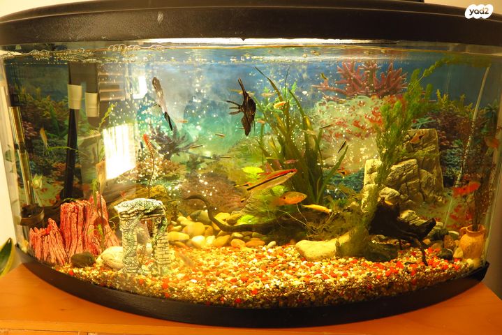 אביזרים | אקווריום