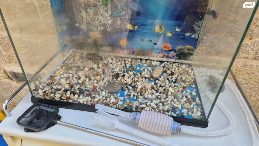 אביזרים | אקווריום