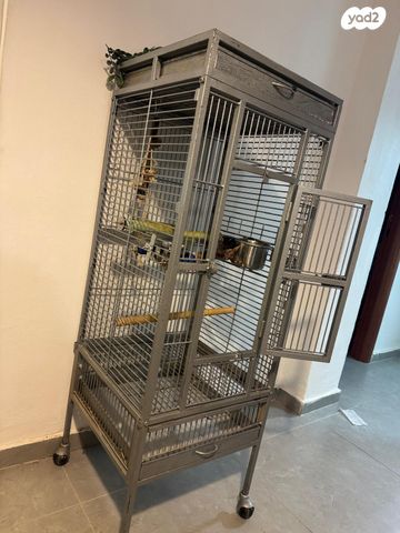 תוכי ג'רדין