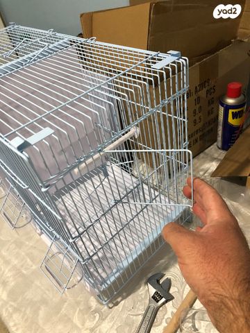 תוכי פינקים