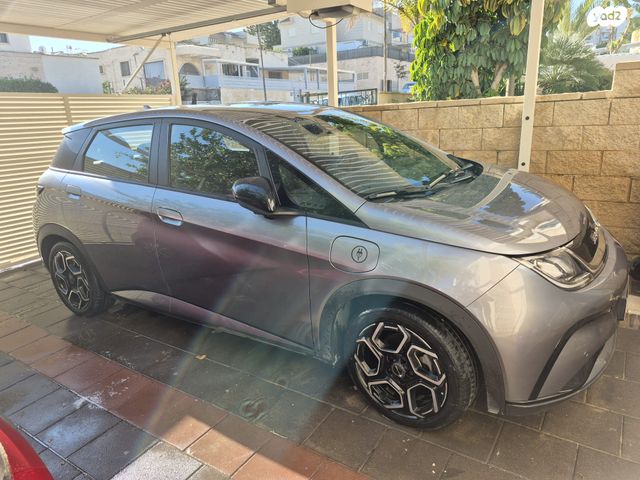 בי.ווי.די דולפין