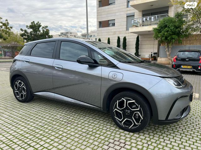 בי.ווי.די דולפין