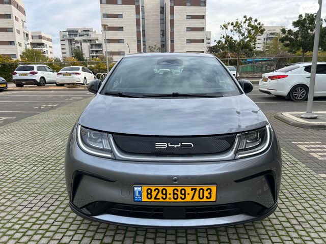 בי.ווי.די דולפין