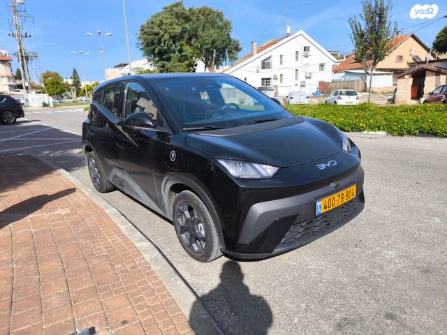 בי.ווי.די דולפין