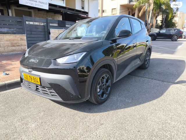 בי.ווי.די דולפין