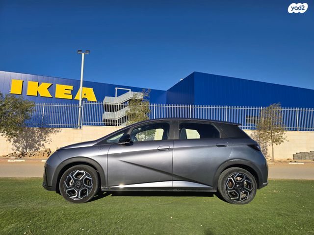 בי.ווי.די דולפין