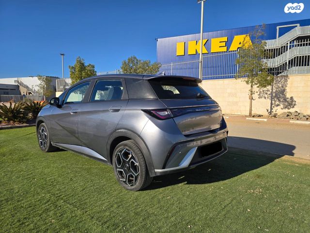 בי.ווי.די דולפין